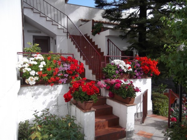 Casa Vacanze in Sicilia Etna Taormina